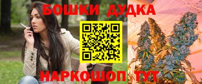 сатива Краснодар