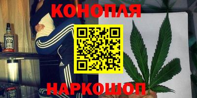 прущие грибы Краснознаменск