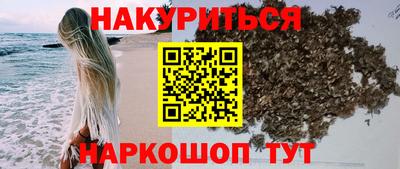 сатива Краснодар