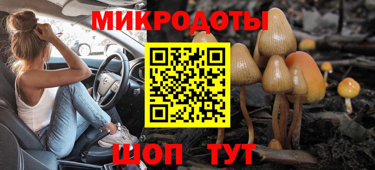 Галлюциногенные грибы прущие грибы Кимры