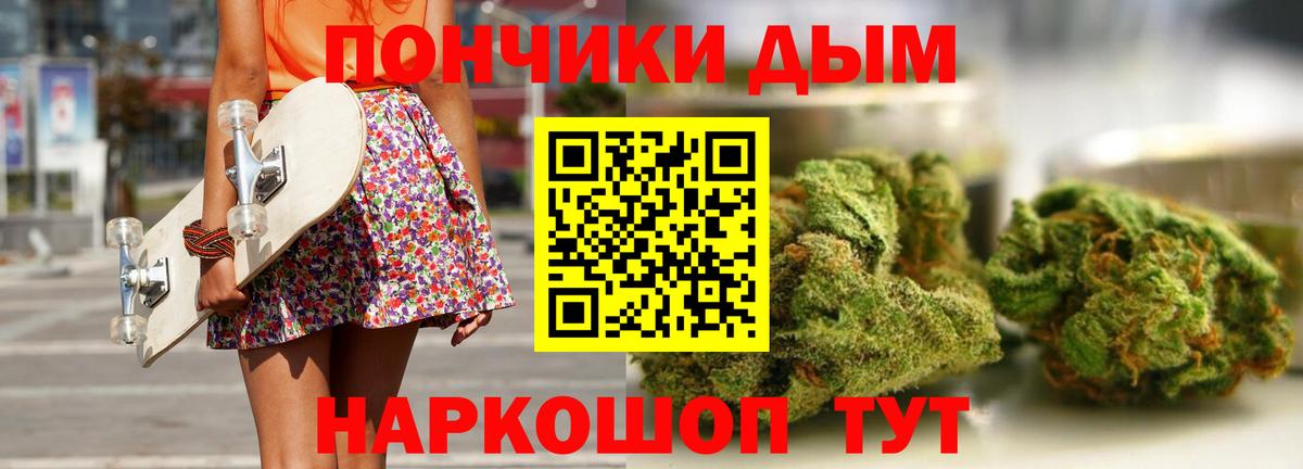 Канабис сатива Кимры